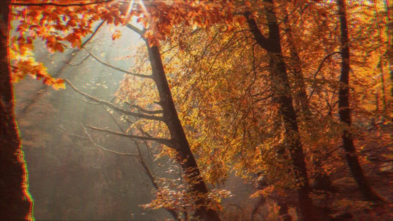 TikTok Screen Record Repost look — real output from the engine — Original