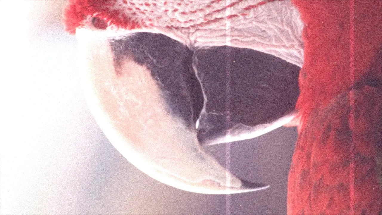 Faded Cinema Print look — real output from the engine — Faded Cinema Print